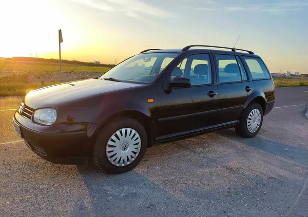 volkswagen Volkswagen Golf cena 7200 przebieg: 241000, rok produkcji 1999 z Pruszków